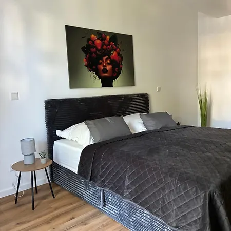 Aner 7 Luxurioeses Familienapartment Fuer Bis Zu 6 Personen Mit Kleinem Heimkino * Dresde